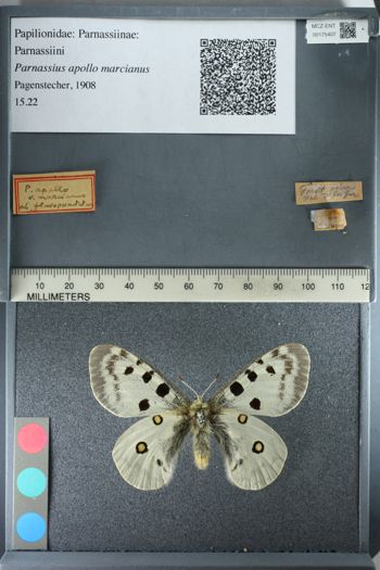 Media type: image;   Entomology 175407